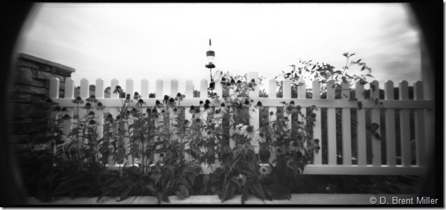 patio001