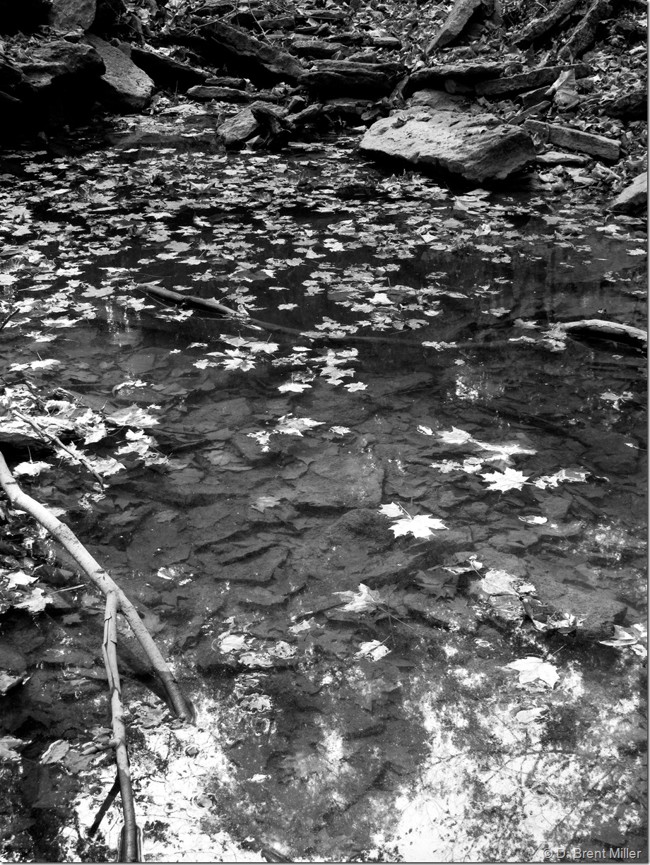 hiking_9-26-2010-17