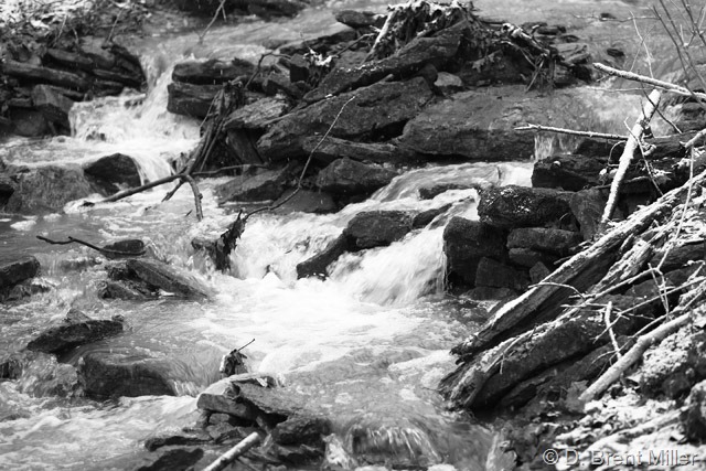 February Runoff