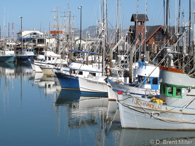 Fhsermans-Wharf-15