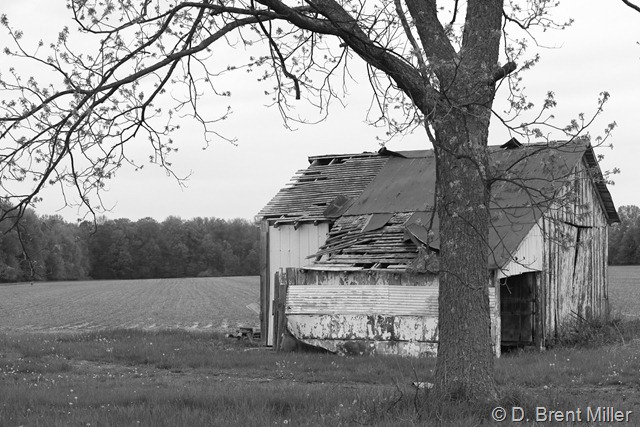 OH_SR350_barn-7