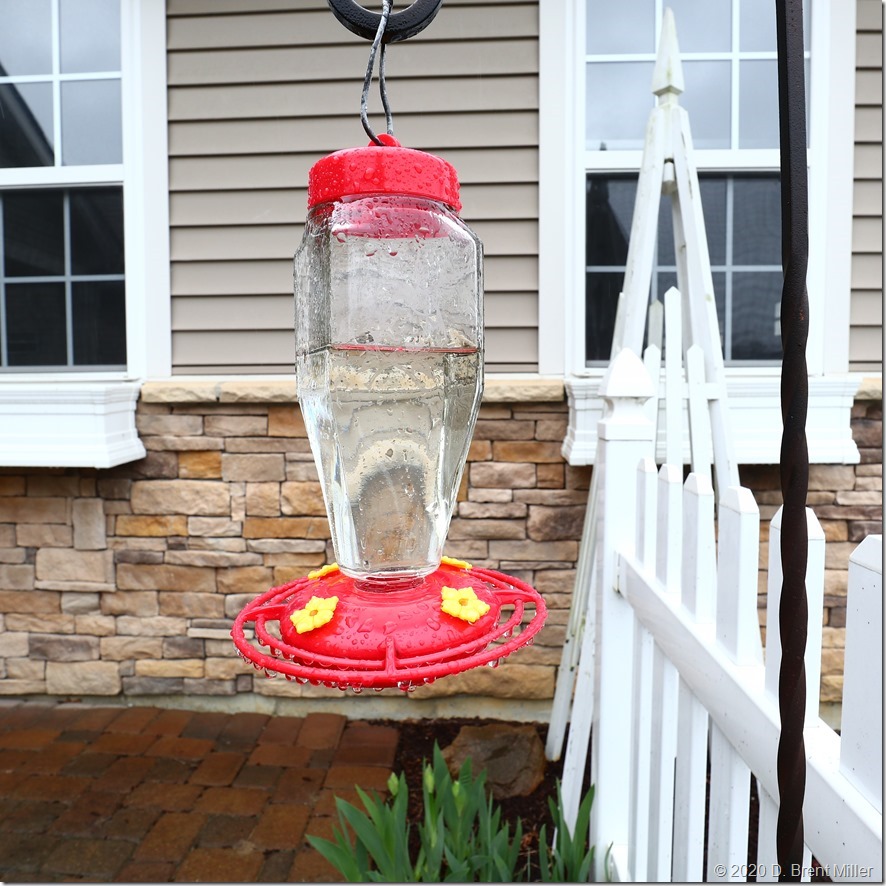 Hummer-feeder_04-23-2020