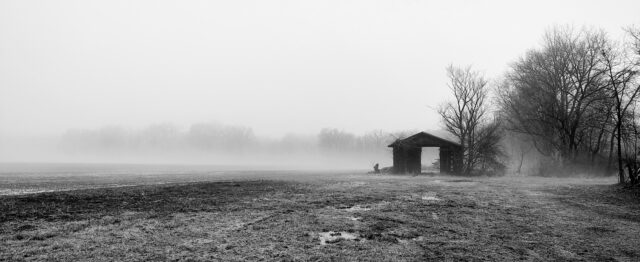 Old barn in January fog